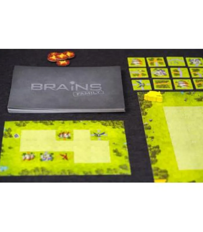 Brains Family: Castillos y Dragones