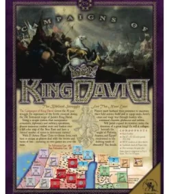Campaigns of King David (Inglés)