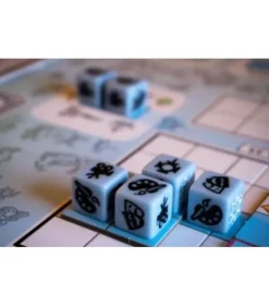 Cámara Roll
