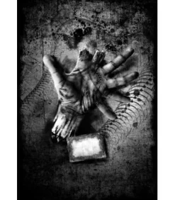 Dead of Night