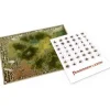 Forbidden Lands: Mapa y Pegatinas