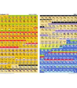 Gallipoli, 1915: Churchill's Greatest Gamble (Inglés)