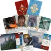 Guerra del Anillo: El Juego de Cartas