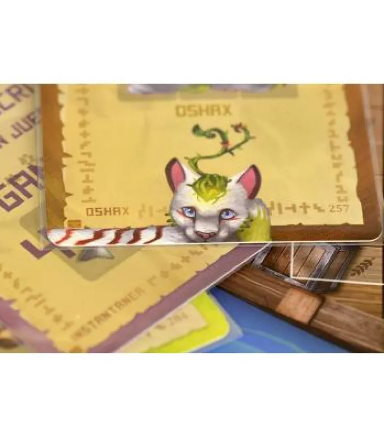 La Isla de los Gatos: Recién Llegados