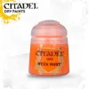 Pintura Citadel: Dry Ryza Rust