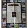 Poster - Middle Earth: The Wizards