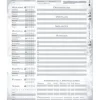 Savage Worlds: Walküre Salvaje 2075 (Hojas de Personaje)