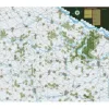 The Jaws of Victory: Battle of the Korsun-Cherkassy Pocket, January/February 1944 (Inglés)