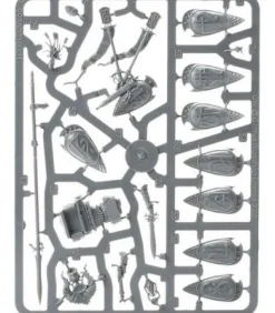 Warhammer Age of Sigmar: Lumineth Realm-Lords (Vanari Auralan Wardens)