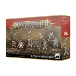 Warhammer Age of Sigmar: Maggotkin of Nurgle (Pestigors)