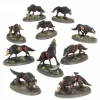 Warhammer Age of Sigmar: Soulblight Gravelords (Dire Wolves)