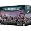 Warhammer 40,000: Emperor's Children (Tormentors)
