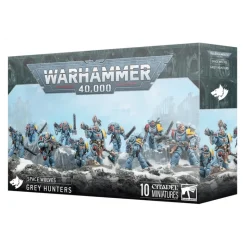 Warhammer 40.000: Space Wolves ( Grey Hunters )