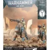 Warhammer 40,000: T'au Empire (Krootox Rider)